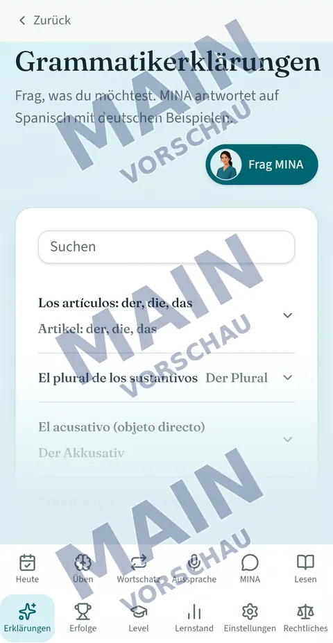 MINA-Grammatikerklärungen mit Suchfeld und Themenübersicht